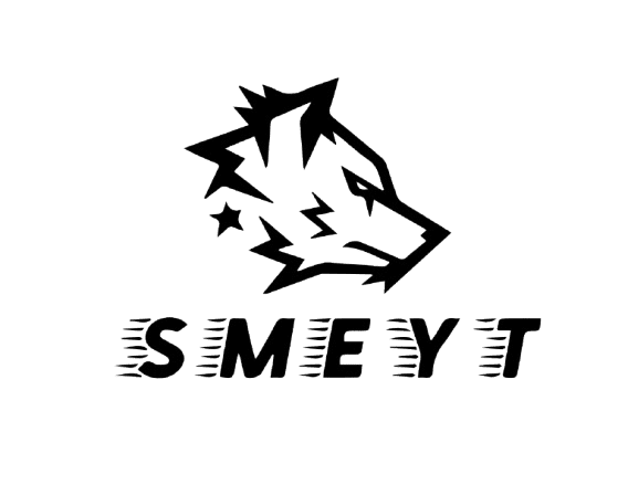 Smeyt Enerji, Sağlık ve Bilişim Teknolojileri